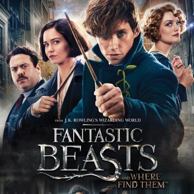 Fantastic Beasts and Where to Find Them : DVD 