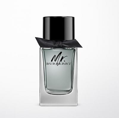 Mr. Burberry Eau de Toilette 100ml Burberry