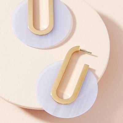 Petite Berlin Lucite Hoop Earrings Anthropologie