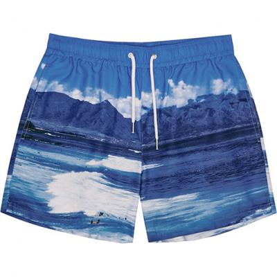 Seascape Blue Printed Swim Shorts - men - REISS