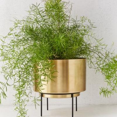 Adelphi 10” Planter Urban Outfitters