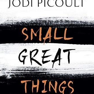 Small Great Things: To Kill a Mockingbird for the 21st Century - by Jodi Picoult. 