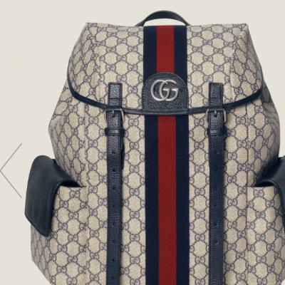 Ophidia GG medium backpack