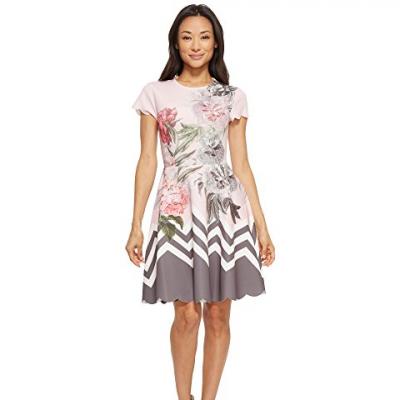 Ted Baker Haiilie Palace Gardens Ruffle Skater Dress