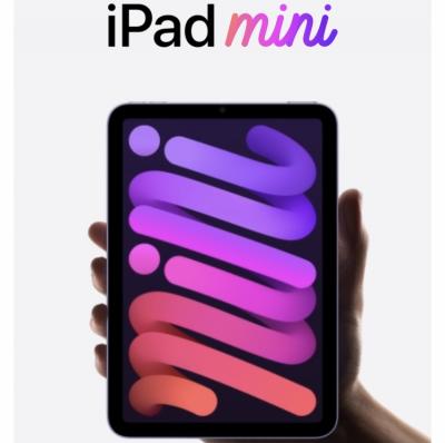 iPad Mini