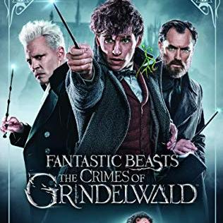 Fantastic Beasts: The Crimes of Grindelwald DVD 2018
