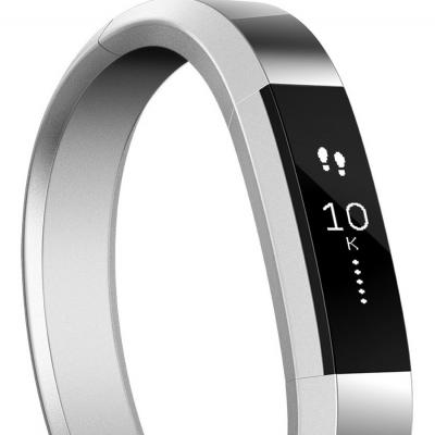 Fitbit Alta Stainless Steel Accessory Band