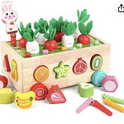 Toddlers Montessori Wooden Educational Toy