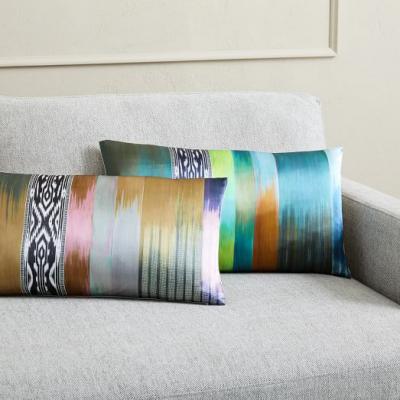 Blurred Ikat Stripe Silk Pillow Covers west elm