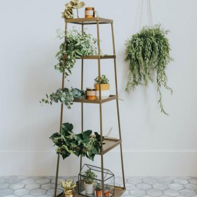 Brass Five-Tier Display Shelf at Rose & Grey