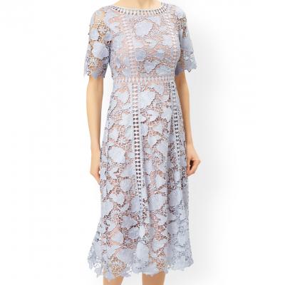 Scarlett Lace Sleeved Dress by Monsoon