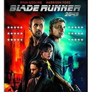 Blade Runner 2049 [DVD] [2017]