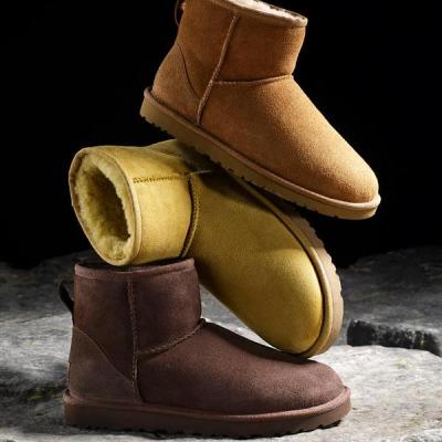 UGG WOMEN'S CLASSIC MINI