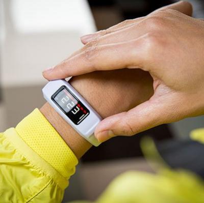 Garmin Fitness vívofit 2.