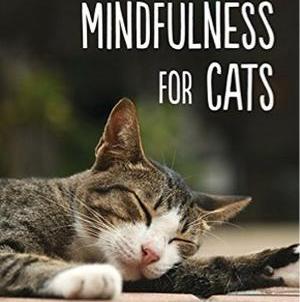 Mindfulness for Cats by Sam Hart