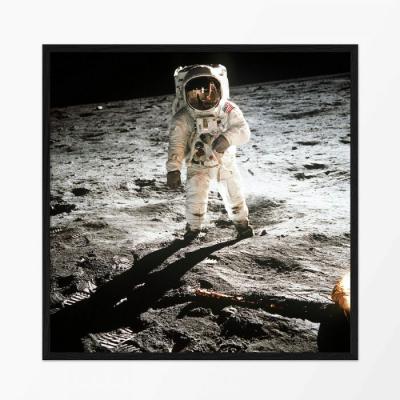 The Final Frontier Print Graham & Green