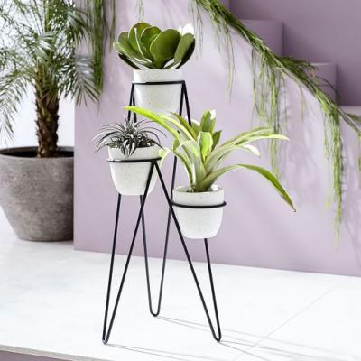Iris Planter + Chevron Stand - Triple west elm