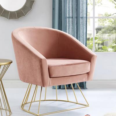 Inspired Home Sabrina Velvet Accent Chair