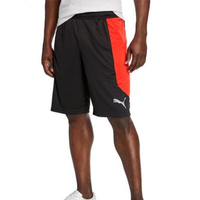 Puma Mens Knit Colorblock Shorts