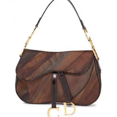 Dior Nylon Double Saddle Bag