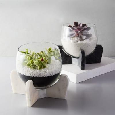 Marble + Glass Cross Base Terrariums west elm