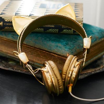 The Emily & Meritt Animal Headphones