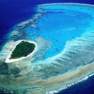 Lady Musgrove Island, Queensland Australia