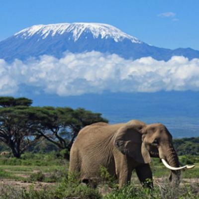 Mount Kilimanjaro 