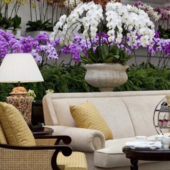 High Tea, Orchid Conservatory, Majestic Hotel, KL,Malaysia