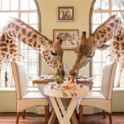 Giraffe Manor
