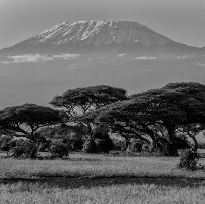 Amboseli National Park, Kenya
