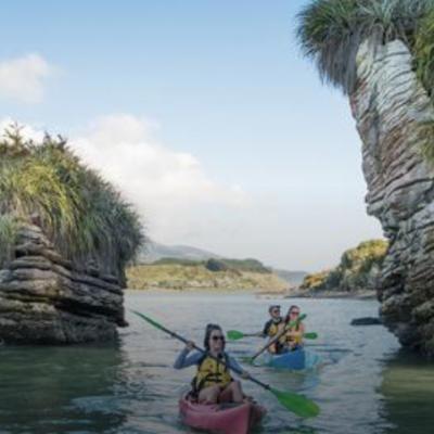 Waikato, New Zealand