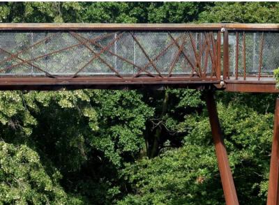 Treetop Walkway In Kew Gardens, UK