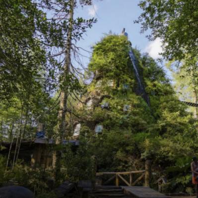Montaña Mágica Lodge, Huilo Huilo, Chile