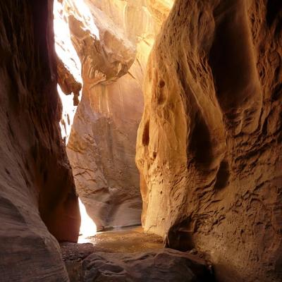 Zion Canyon, Zion National Park, Utah
