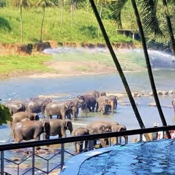 Hotel Elephant Park 