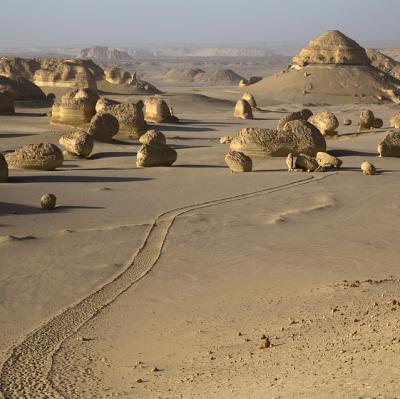 WADI AL-HITAN (WHALE VALLEY) EGYPT