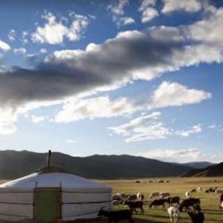 Visit Mongolia