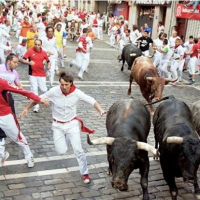 Bull Festival in Spain (Pomplona)