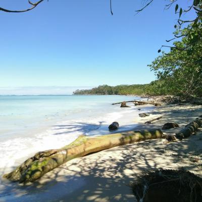 Cahuita National Park - Costa Rica