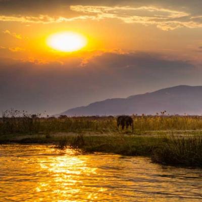 LOWER ZAMBEZI NATIONAL PARK - ZAMBIA