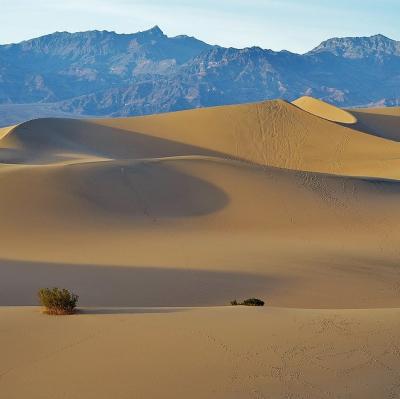 Mesquite Flat Sand Dunes (Death Valley National Park) California