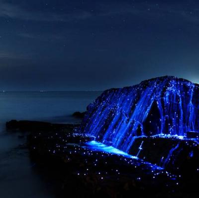 Bioluminescent Rocks, Okayama, Japan
