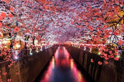 Meguro River, Matsuno, Japan