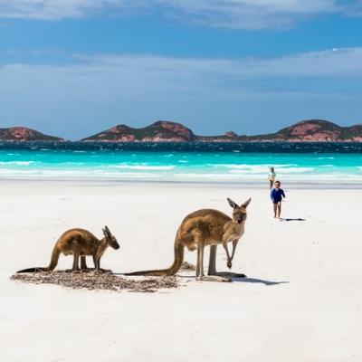 Lucky Bay, Esperance, Australia