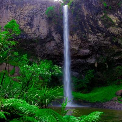 Bridal Veil Falls, Waireinga Scenic Reserve - Waikato - New Zealand