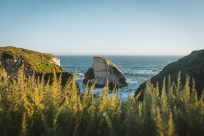 Shark Fin Cove, Davenport, California, USA