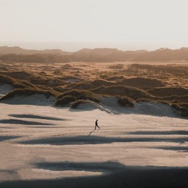 Råbjerg Mile, Skagen, Danmark
