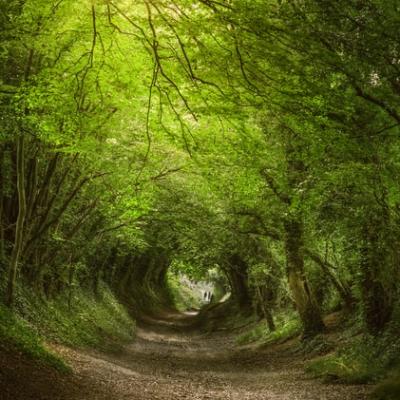 Halnaker, Chichester, UK