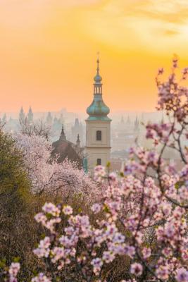 Petřín Gardens, Prague, Czech Republic